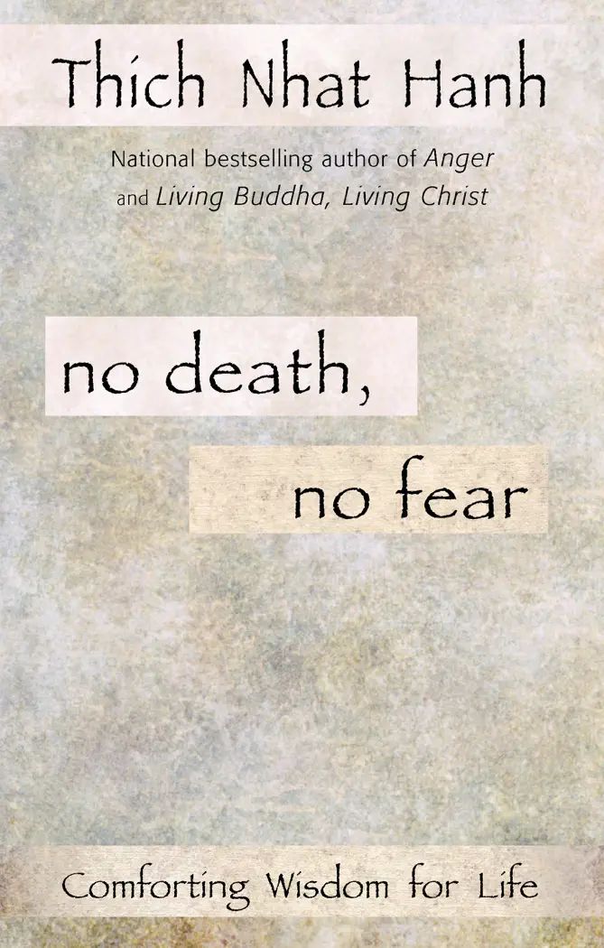 No Death, No Fear by Thich Nhat Hahn, book cover