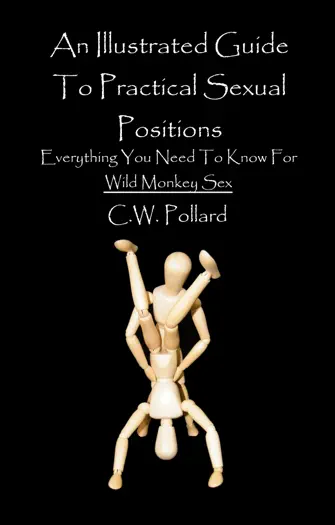 An Illustrated Guide To Practical Sexual Positions by C.W. Pollard, book cover