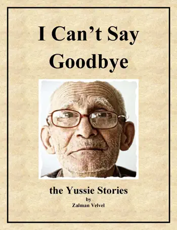 I Can't Say Goodbye by Zalman Velvel, book cover