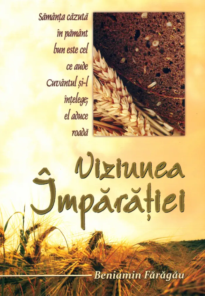 Viziunea Împărăției by Beniamin Fărăgău, book cover