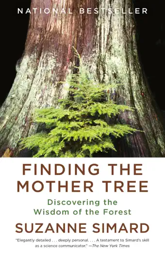 Finding the Mother Tree by Suzanne Simard, book cover