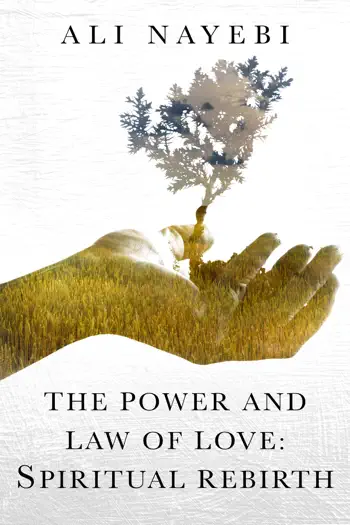 The Power And Law Of Love by Ali Nayebi, book cover