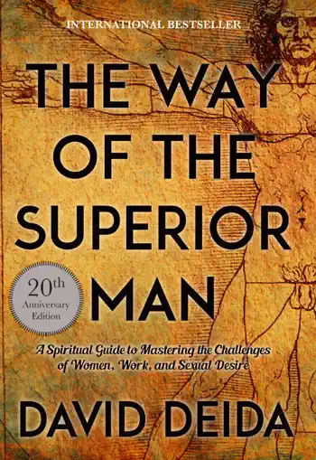 The Way Of The Superior Man by David Deida, book cover