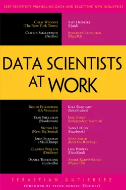 Data Scientists at Work by Sebastian Gutierrez, book cover