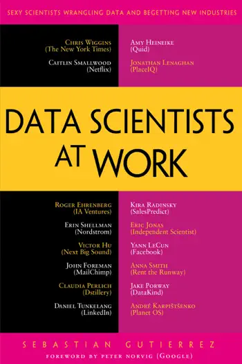 Data Scientists at Work by Sebastian Gutierrez, book cover