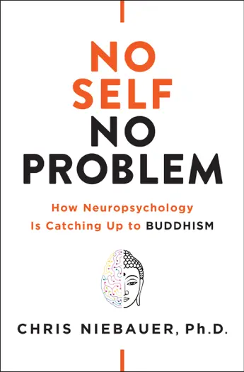 No Self, No Problem by Chris Niebauer, book cover