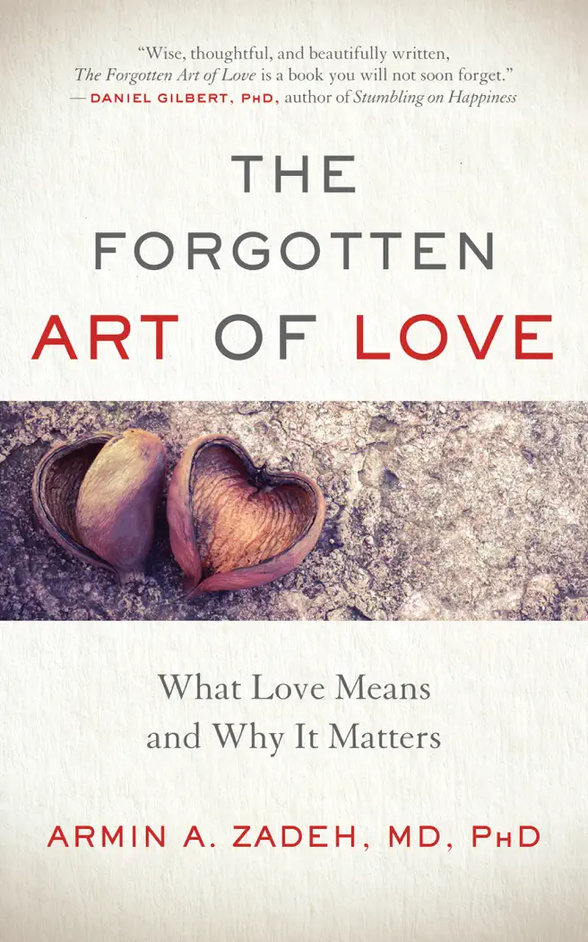 The Forgotten Art of Love by Armin A. Zadeh, book cover