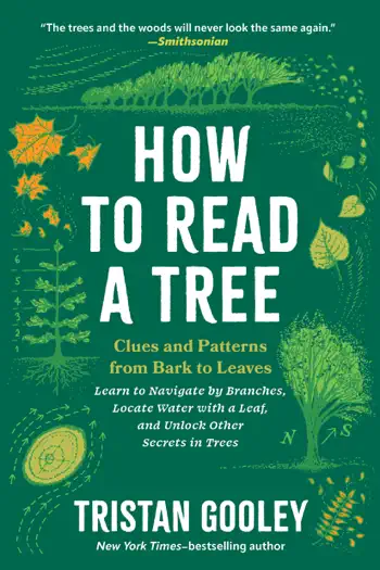 How to Read a Tree by Tristan Gooley, book cover