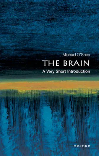 The Brain by Michael O'Shea, book cover