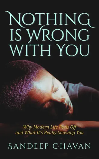 Nothing Is Wrong With You by Sandeep Chavan, book cover