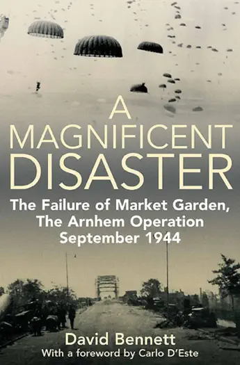 A Magnificent Disaster by David Bennett, book cover