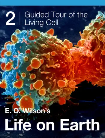 E. O. Wilson’s Life on Earth Unit 2 by Edward O. Wilson, Morgan Ryan & Gaël McGill, book cover