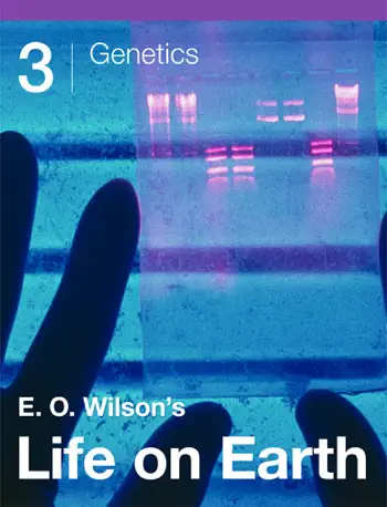 E. O. Wilson’s Life on Earth Unit 3 by Edward O. Wilson, Morgan Ryan & Gaël McGill, book cover