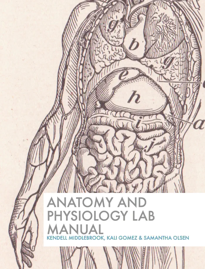 Anatomy and Physiology Lab Manual by Kendell Middlebrook, Kali Gomez & Samantha Olsen, book cover