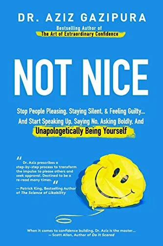 Not Nice by Aziz Gazipura, book cover
